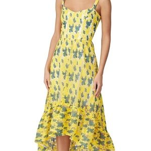 EUC Dress the Population Lace Midi Floral Dress